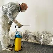 images (1) Person in protective gear spraying mold on a wall with a yellow pump sprayer in a room