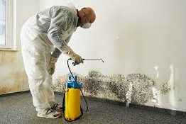 Person in protective gear spraying mold on a wall with a yellow pump sprayer in a room
